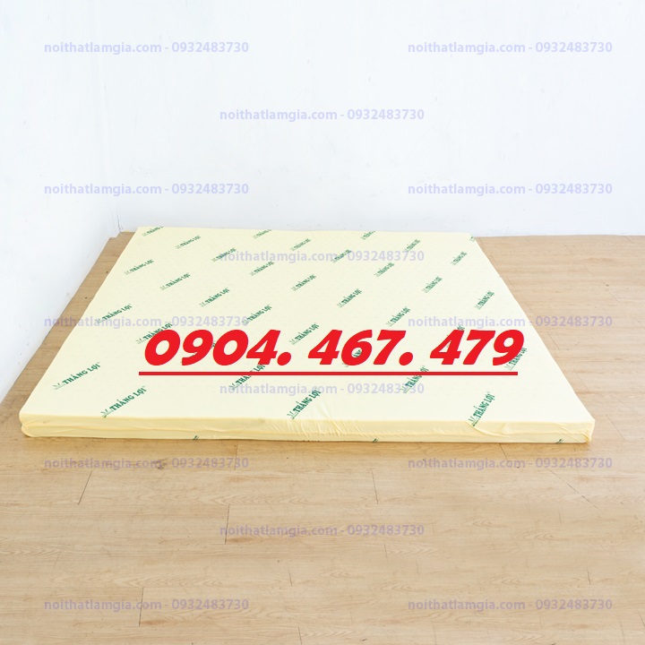 NỆM CAO SU NON THẮNG LỢI 10PHAN - NHIỀU KÍCH THƯỚC