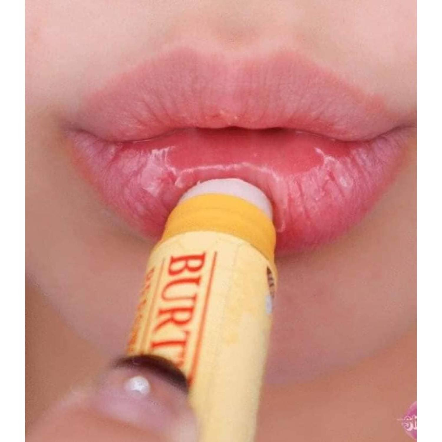 Son dưỡng không màu Burt's Bees Moisturizing Lip Balm (thỏi 4.25g)