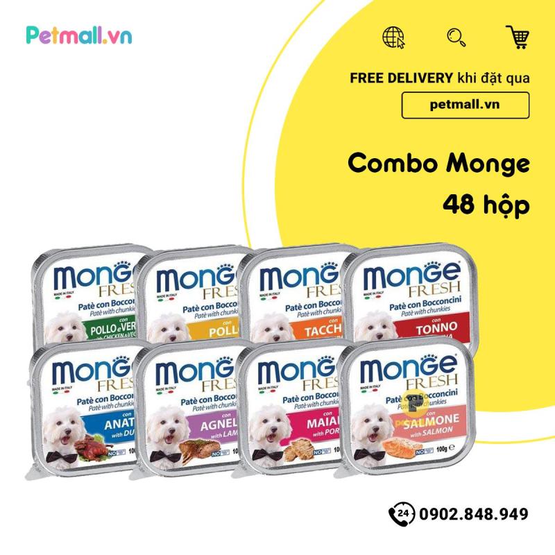 Combo Pate chó Monge 48 hộp