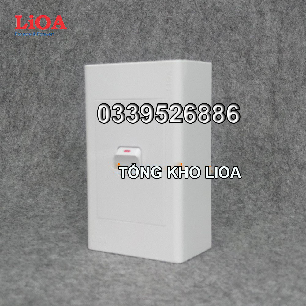 Combo 1 công tắc điện 1 chiều + mặt lỗ vuông LiOA - Lắp nổi