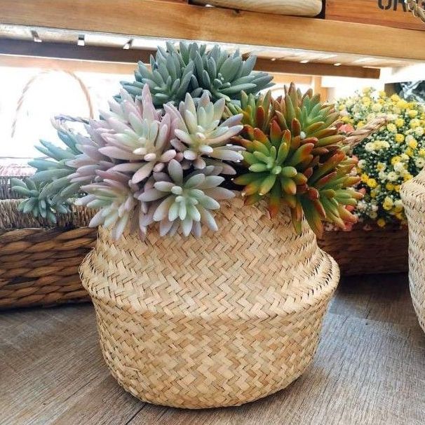 Giỏ cói trồng cây, giỏ đựng đồ, giỏ cói cắm hoa decor