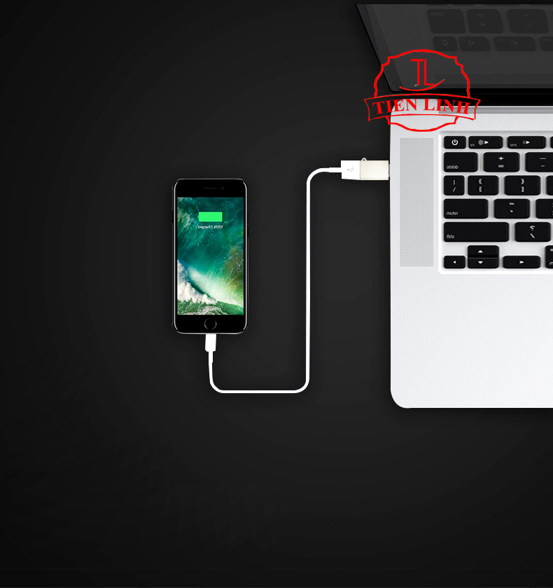 Đầu Chuyển Đổi Từ Type C sang Iphone (Lightning)