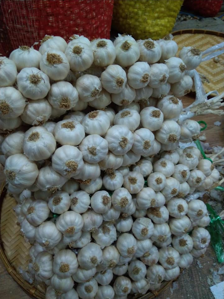 Combo tỏi lý sơn 1kg khuyến mãi 50gr tỏi cô đơn