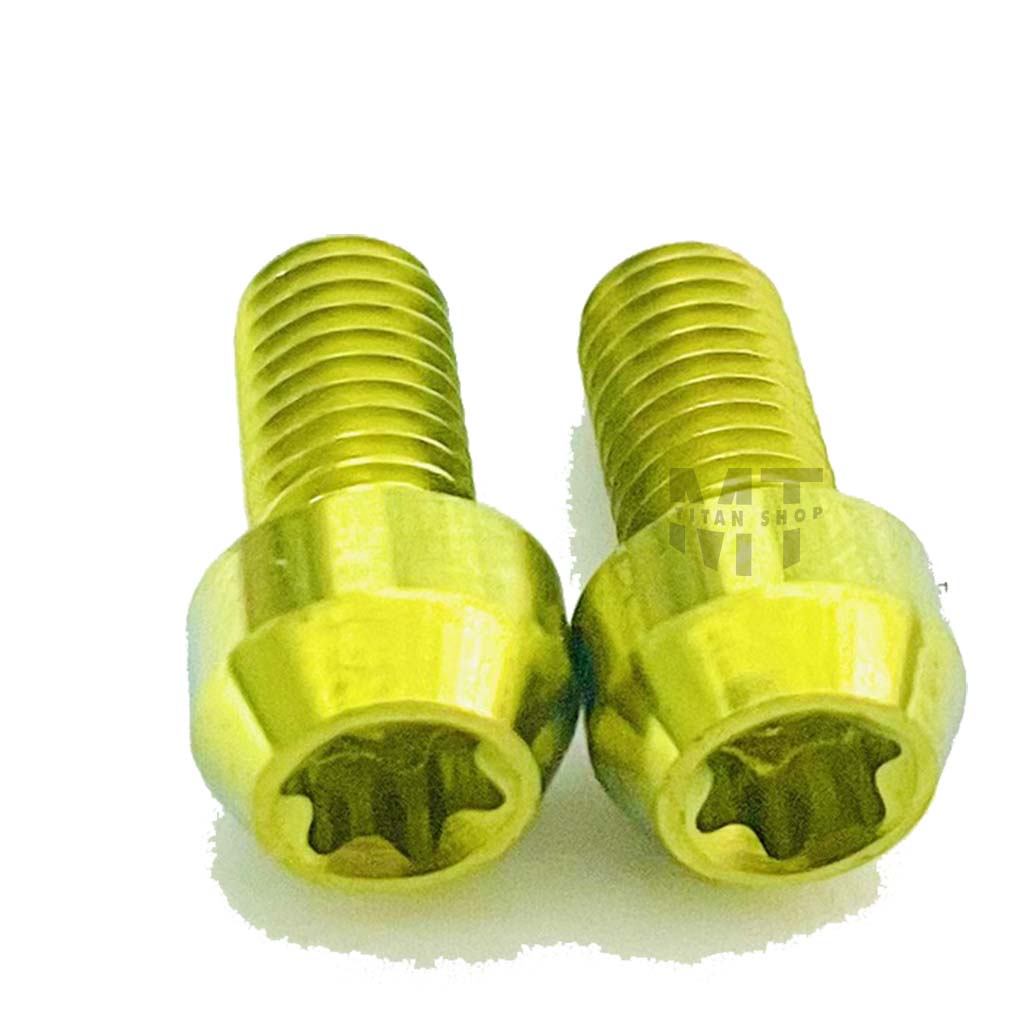 Ốc Titan GR5 Gắng Đĩa ABS Đầu Trụ -MTS