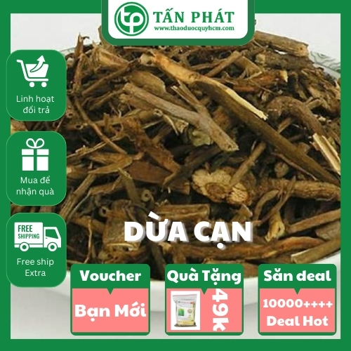 [Túi Lớn Loại 1KG] Cây dừa cạn sấy khô - hàng công ty chất lượng cao - chuyên dùng để pha trà hỗ trợ cải thiện sức khỏe người sử dụng
