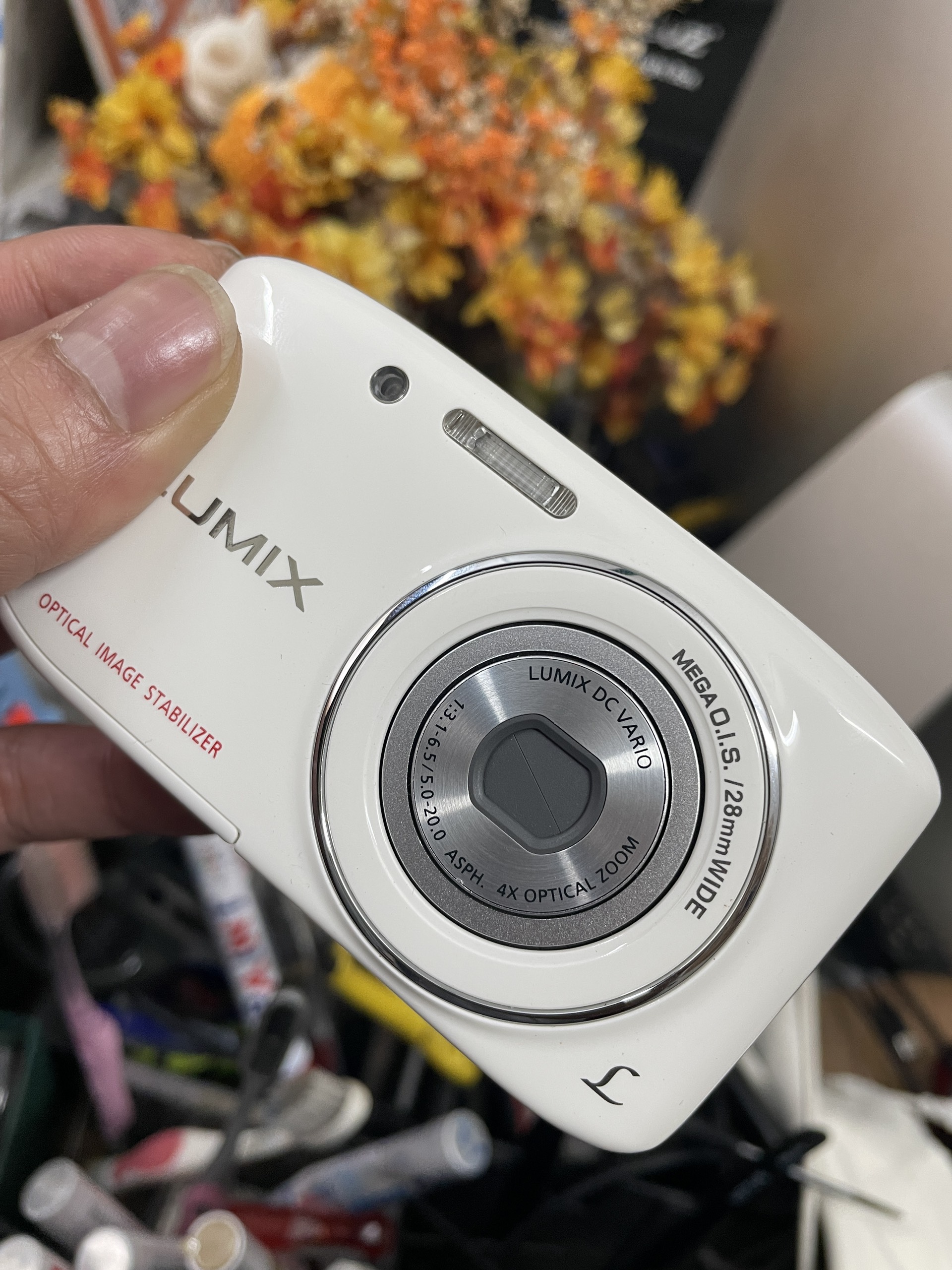 Panasonic Lumix DMC S2 14.1Mpx