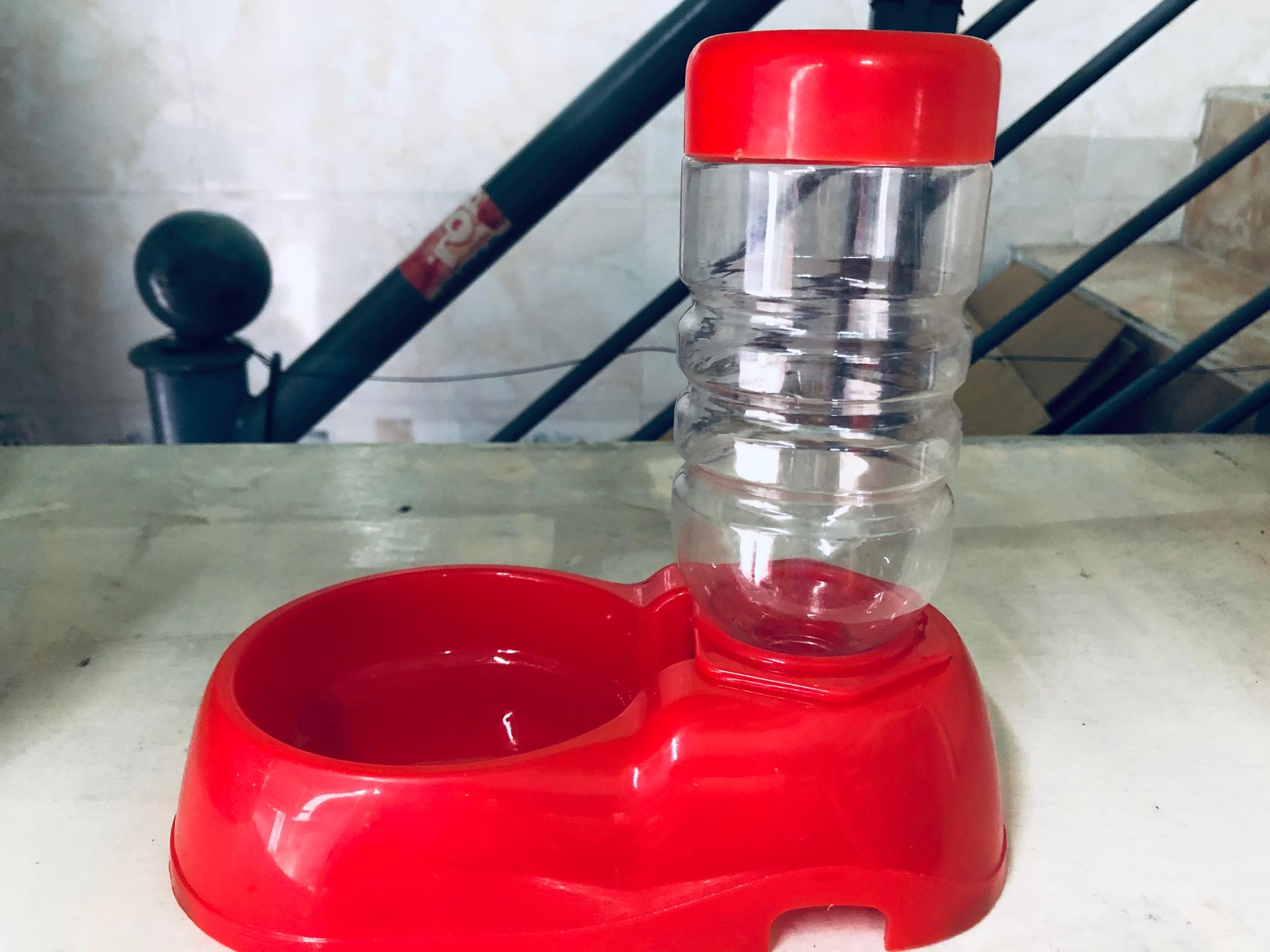 Khay uống nước tự động nhỏ cho chó mèo