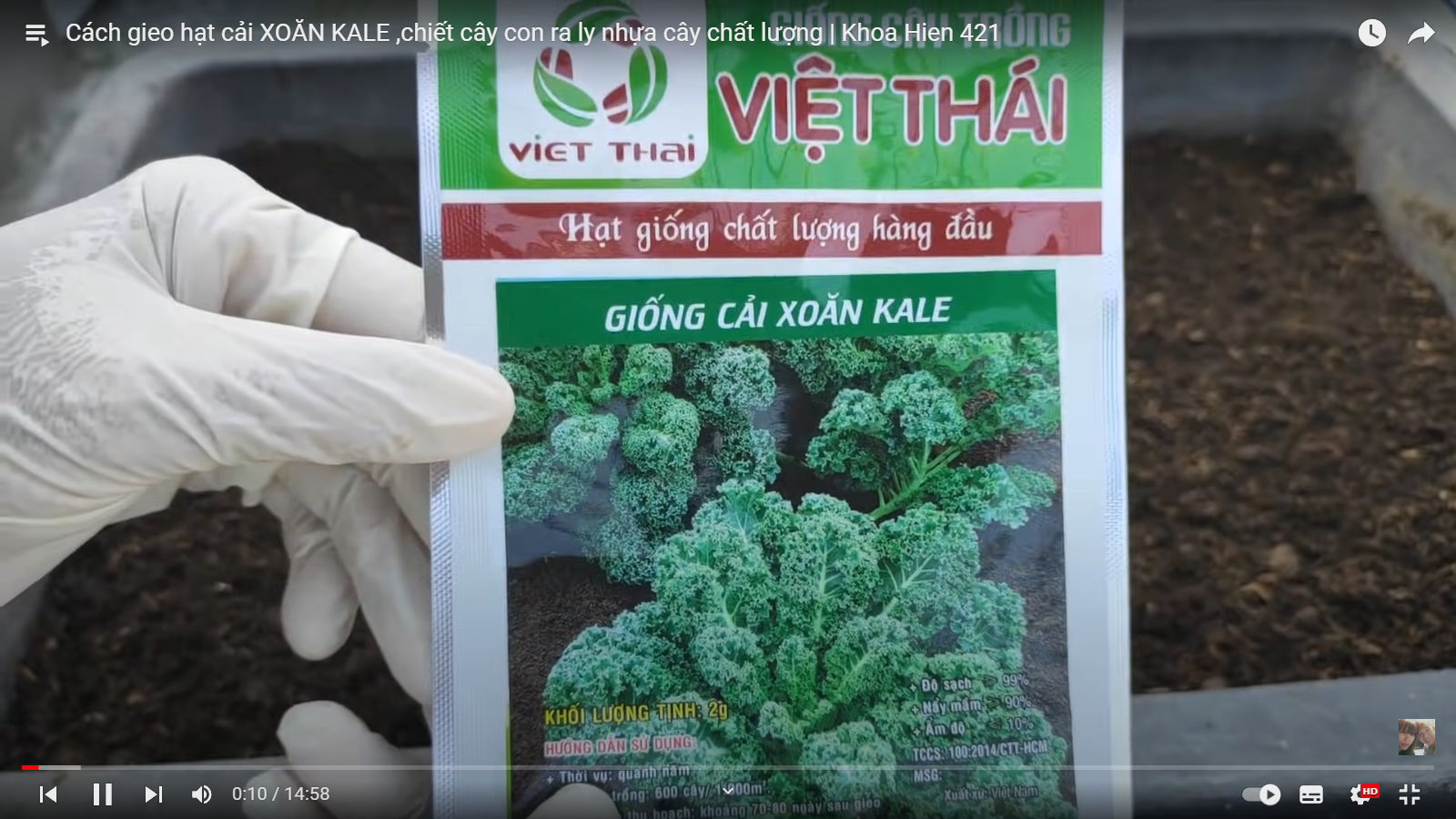[HCM] Cải xoăn Kale Việt Thái 2g