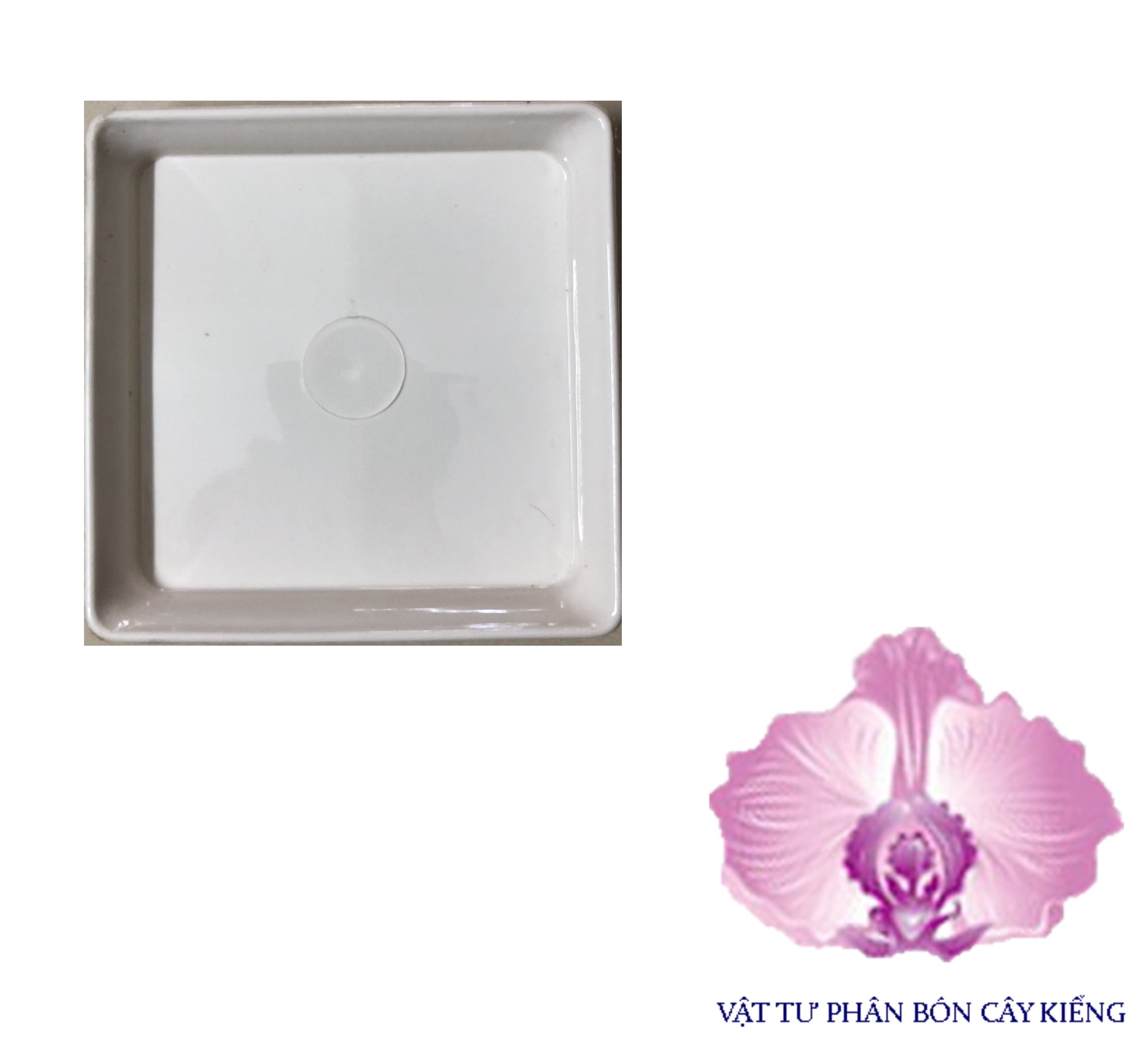 Đĩa lót chậu Vuông 15cm - #067D#