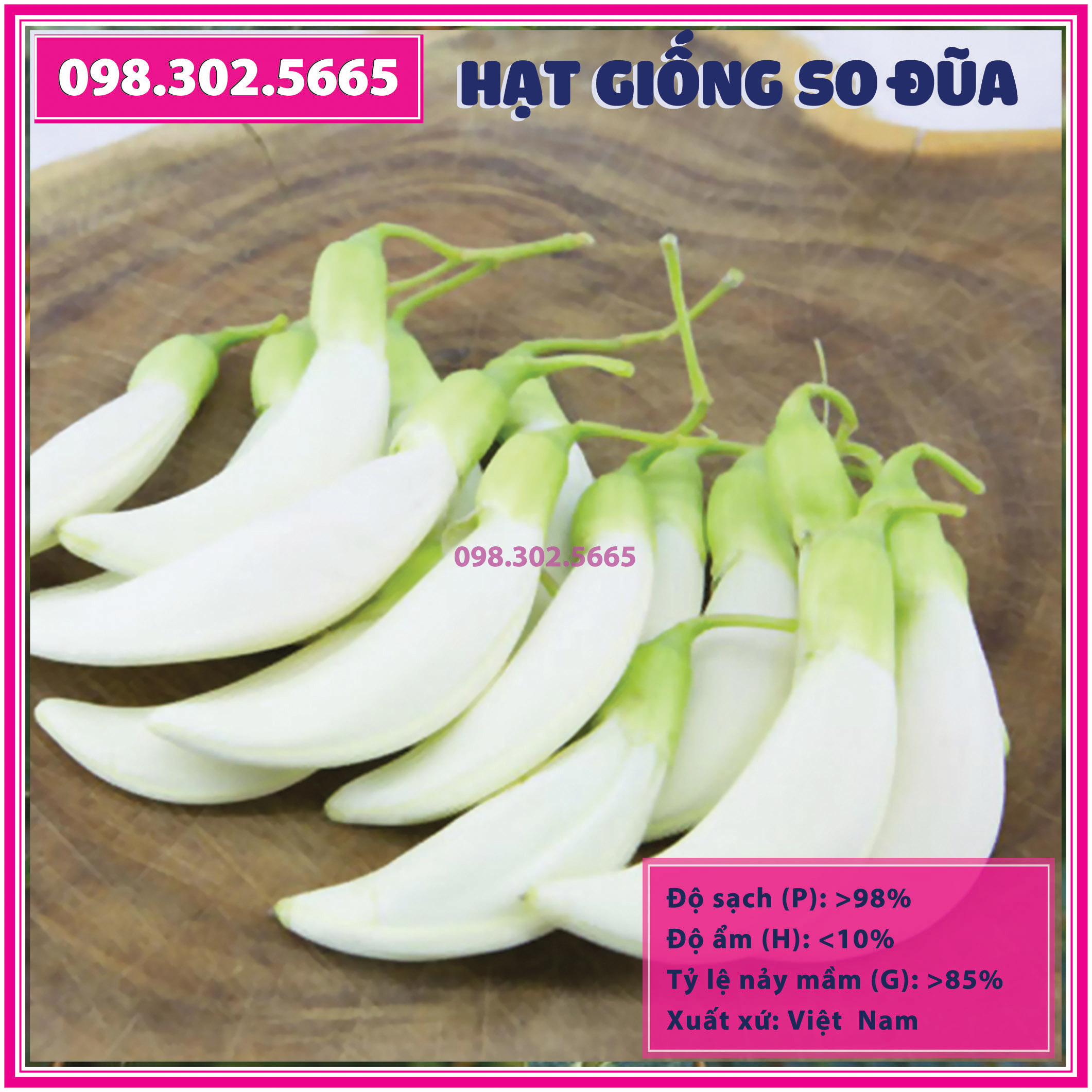 gói 50 g Hạt giống cây so đũa trong chăn nuôi dê