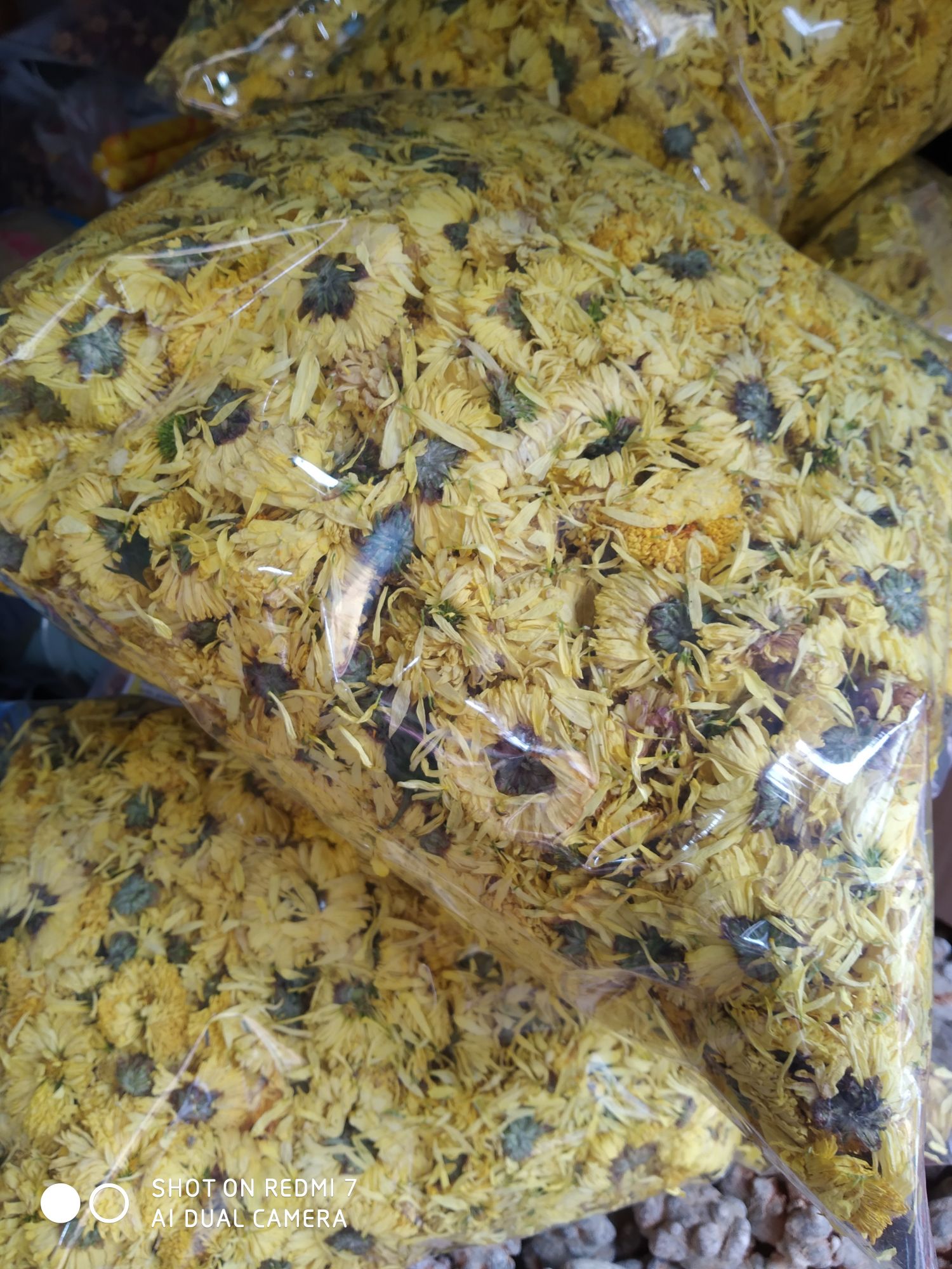 1kg trà hoa cúc vàng
