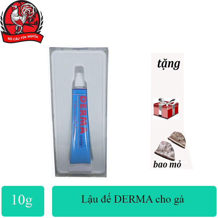 Derma - lậu đế - thối đế - cho gà tre- gà chọi