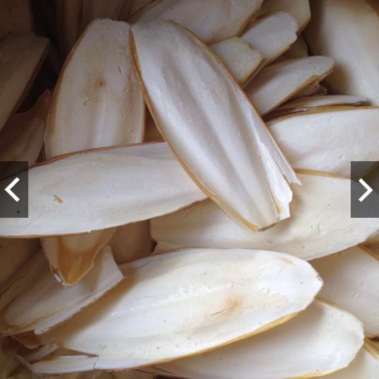 1kg Nang Mực { Mai Mực}
