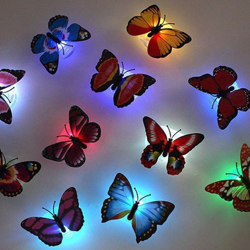 -bướm phát sáng trang trí phòng-đèn ngủ bướm phát sáng trang trí tường-đèn led bướm 3d dán tường trang trí