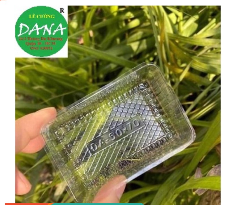 Khay đựng bánh dứa 4.5x7cm