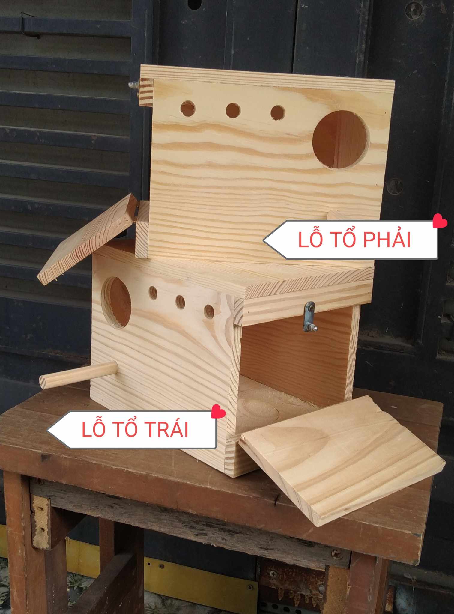 1 TỔ ĐẺ LOVEBIRD-VẸT MẪU ĐƠN-YP EU