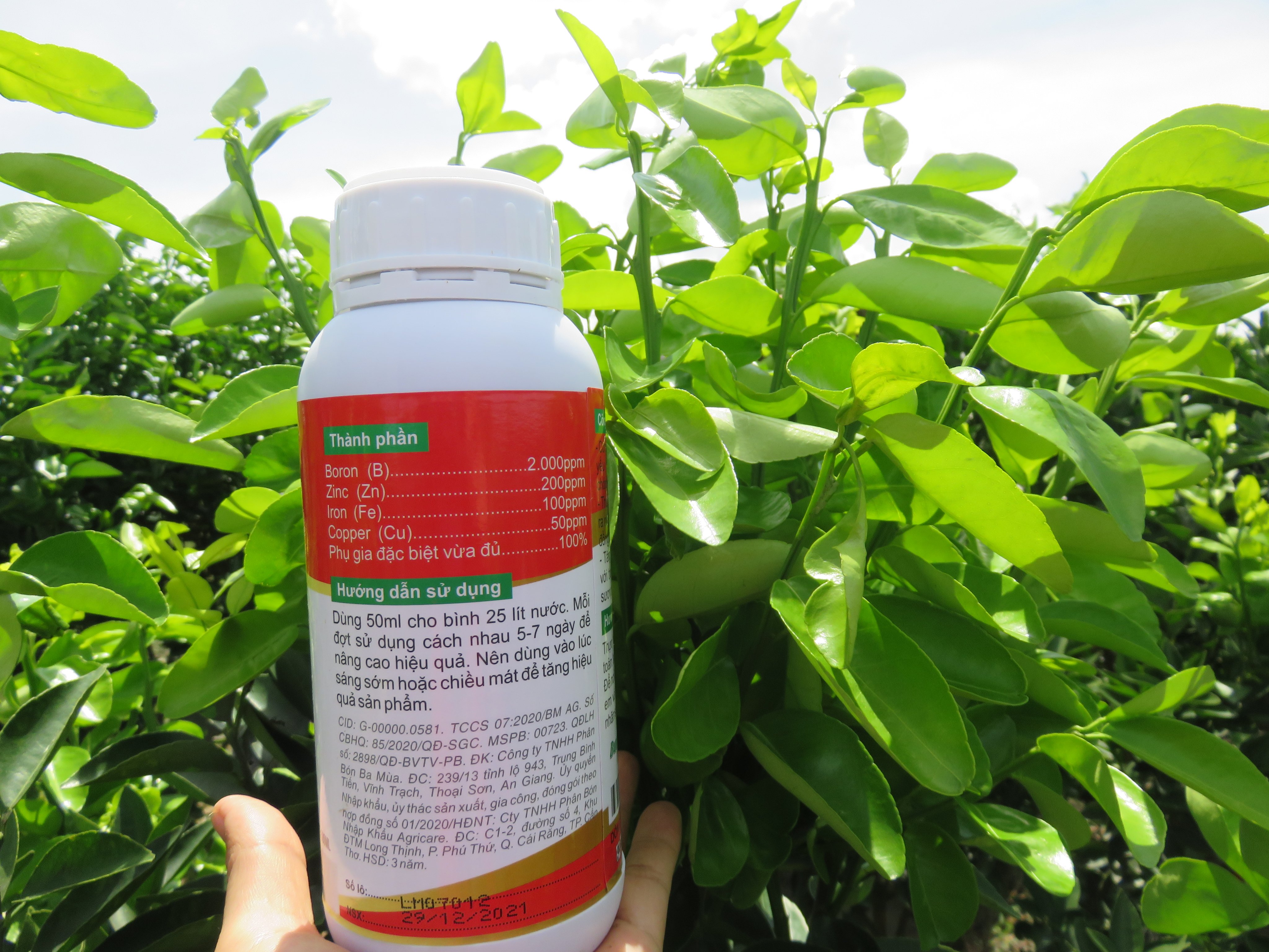 Bung chồi vọt đọt - chuyên cây có múi 500ML