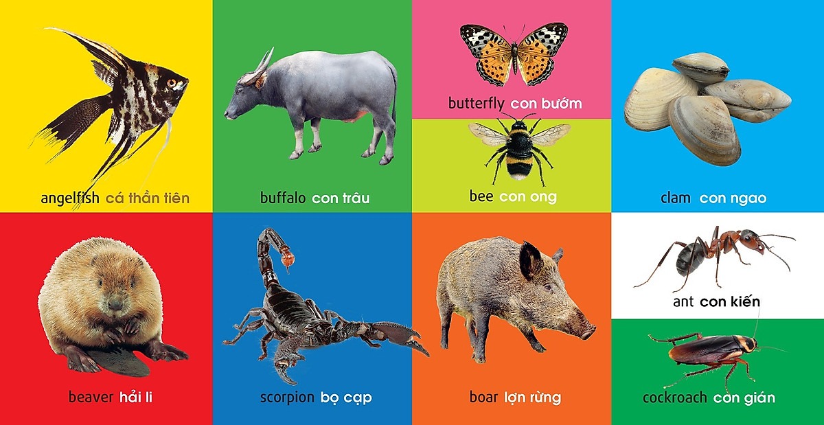 Sách: 101 Từ Đầu Tiên Cho Bé - Động Vật