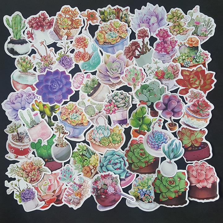 Bộ Sticker dán cao cấp chủ đề SEN ĐÁ SUCCULENTS - Dùng dán Xe, dán mũ bảo hiểm, dán Laptop...