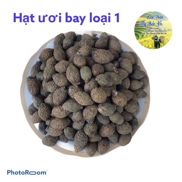 HẠT ƯƠI BAY NÚI NGỌC LINH KON TUM