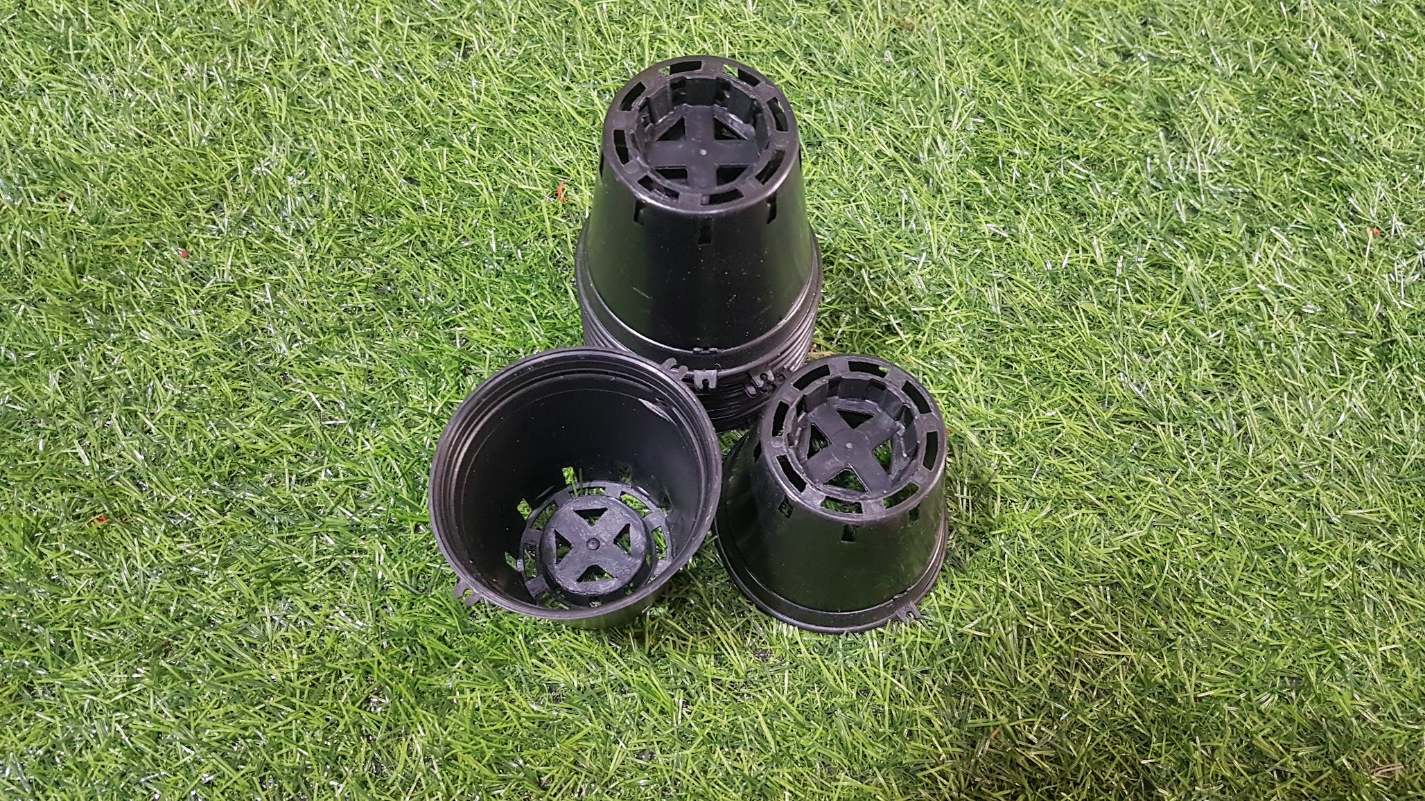 Combo 10 chậu đen trồng lan phi 8cm