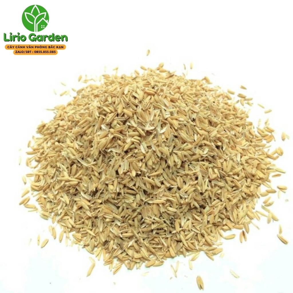 vỏ trấu khô