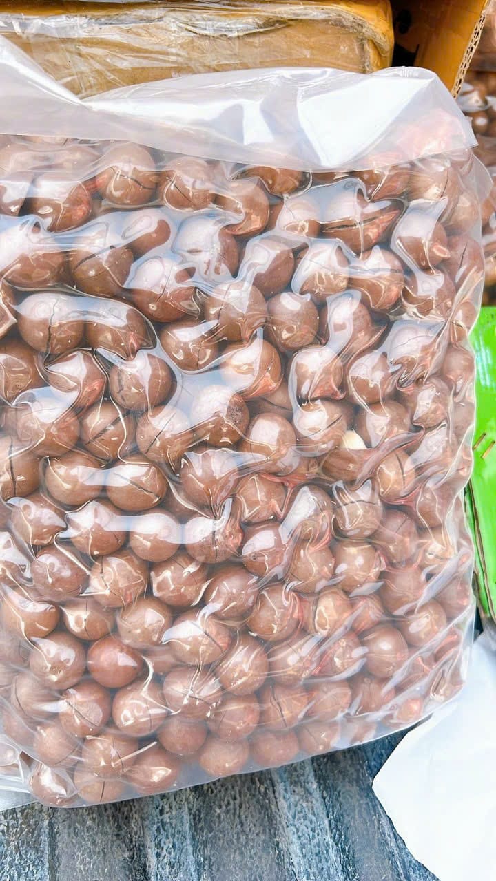 500gr Hạt Macca Daklak kèm đồ khui