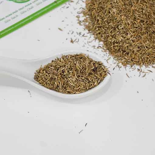 Lá Thyme Khô - Cỏ xạ hương khô Đà Lạt