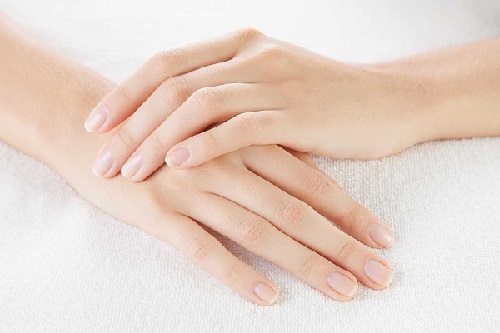 [1 cây] lược chải tóc Thời trang ( nhiều màu) 3691