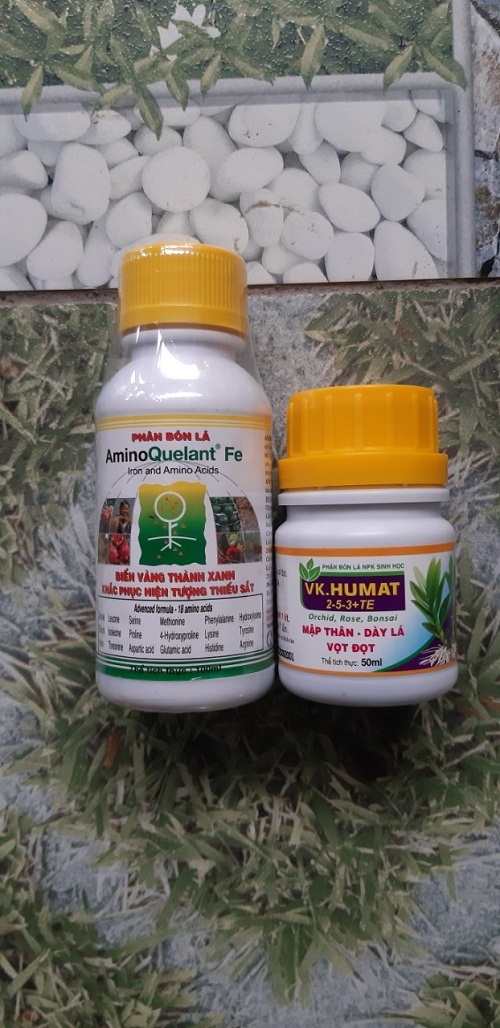 BỘ SẢN PHẨM DƯỠNG CÂY, CHĂM SÓC CÂY SỨ THÁI (AMINO Ca: 100 ML VK HUMAT : 50 ML)