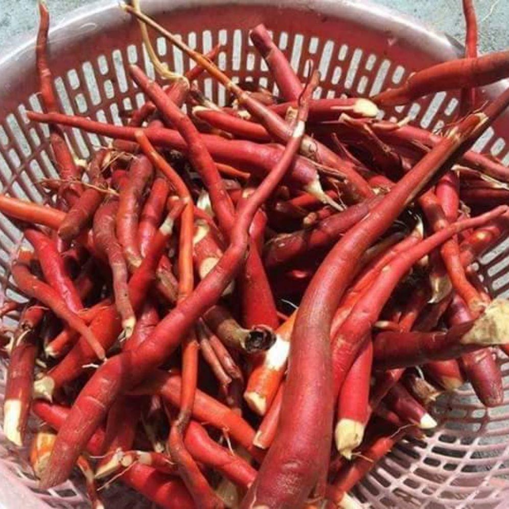 1kg sâm cau khô