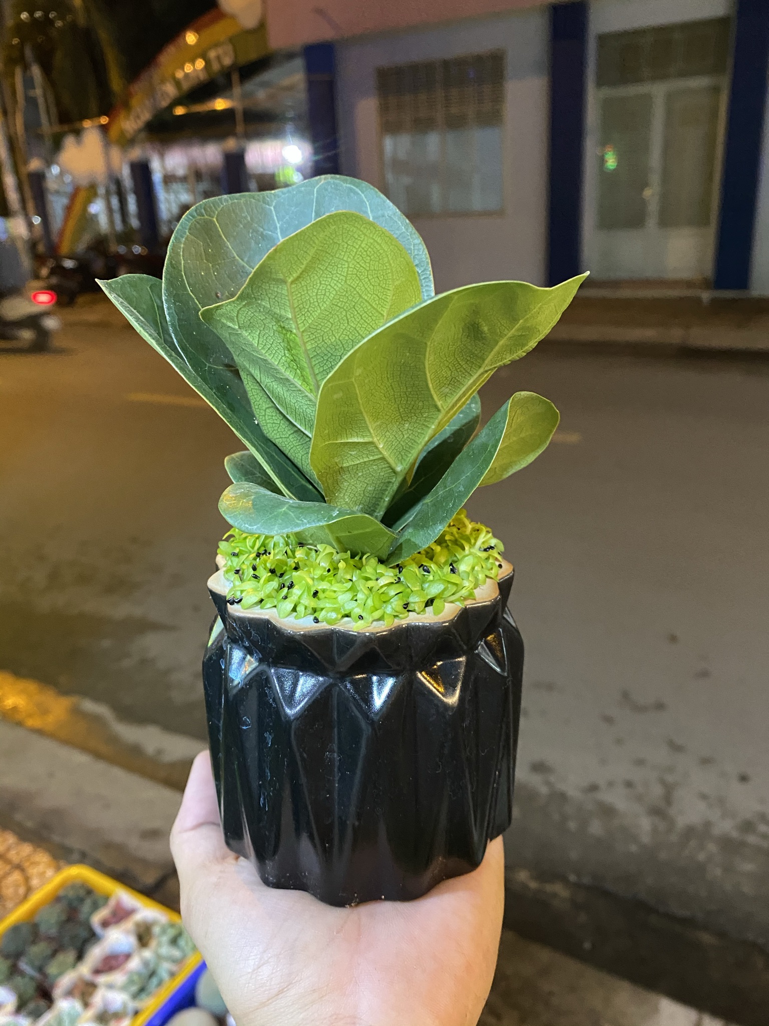 BÀNG SINGAPORE MINI ĐỂ BÀN