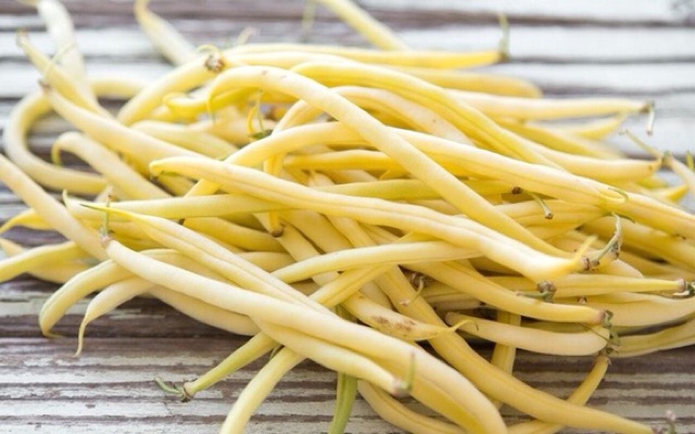 Italian Yellow Cove Bean Seeds