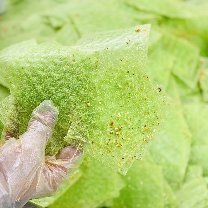 COMBO 10 BỊCH/5 BỊCH BÁNH TRÁNG PHÔ MAI LÁ DỨA