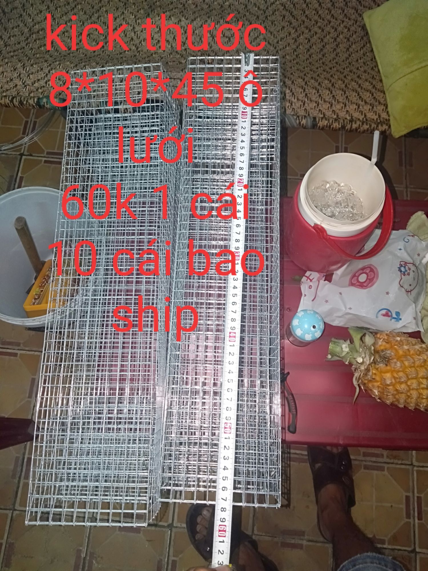 bẫy đánh rắn và chồn