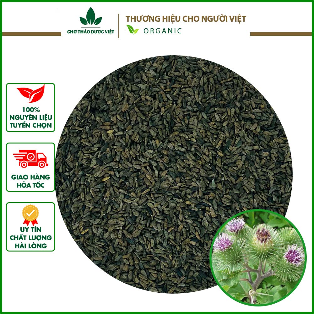 100g ngưu bàng tử