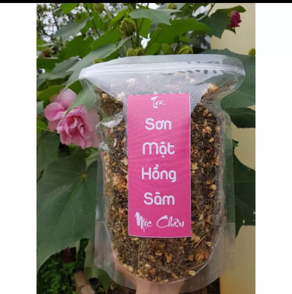 10 gói Trà sơn mật hồng sâm Mộc Châu
