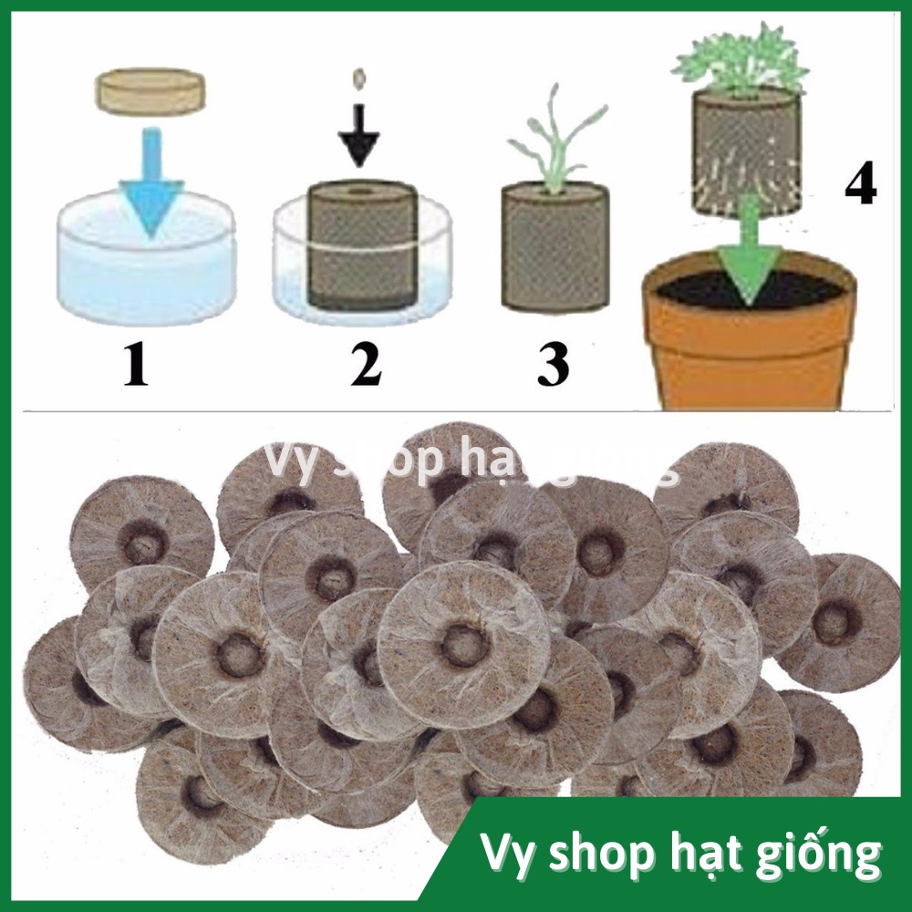 1 Viên nén xơ dừa ươm hạt giống