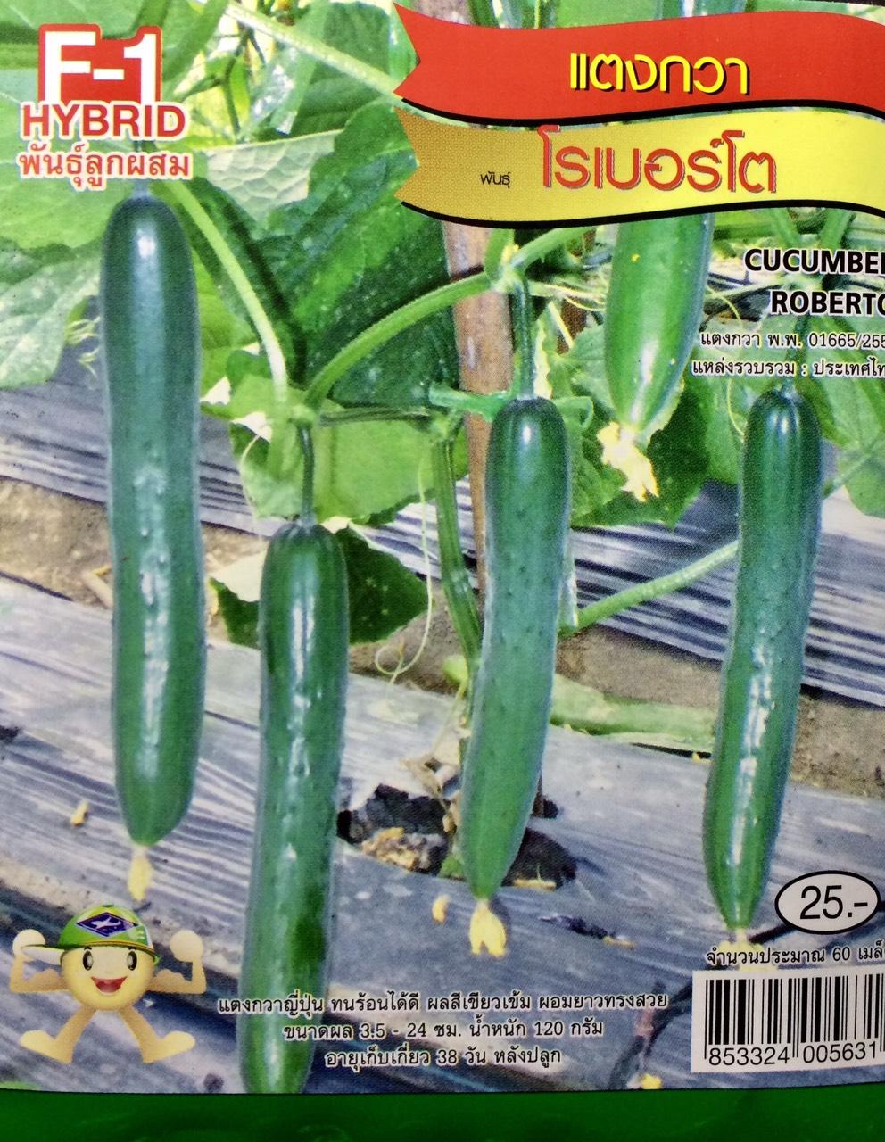 [HCM]DƯA LEO NHẬT F1 THÁI LAN -GÓI 60 HẠT .