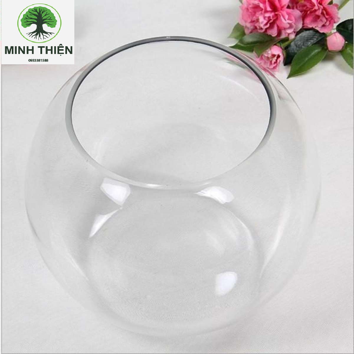 Bể Cá Thủy Tinh 13cm x 17cm - T11