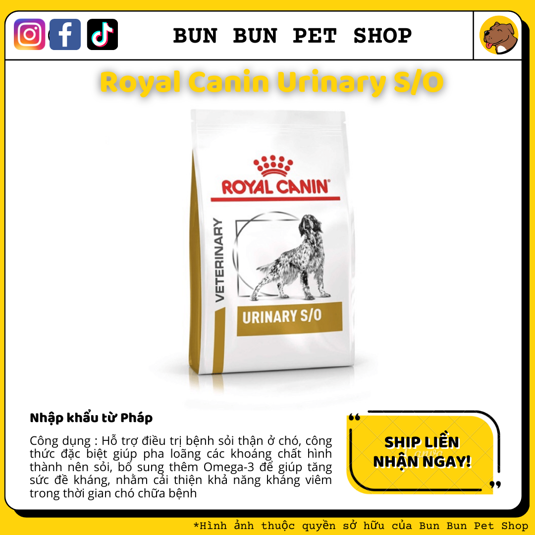 2kg Hạt khô Royal Canin Urinary S/O cho chó thận yếu/sỏi thận