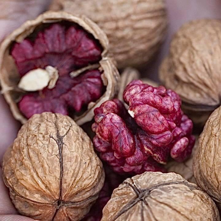 Nhân Quả Óc Chó Đỏ Hartley Mỹ (250g)