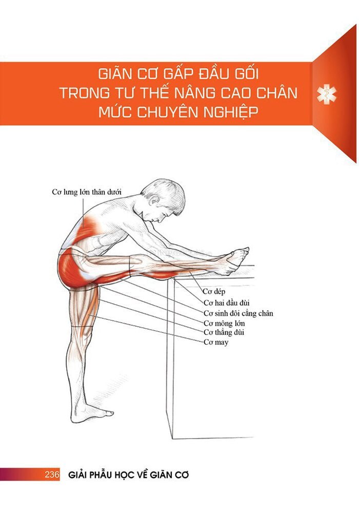 Sách Giải Phẫu Học Về Giãn Cơ (PD)- Newshop