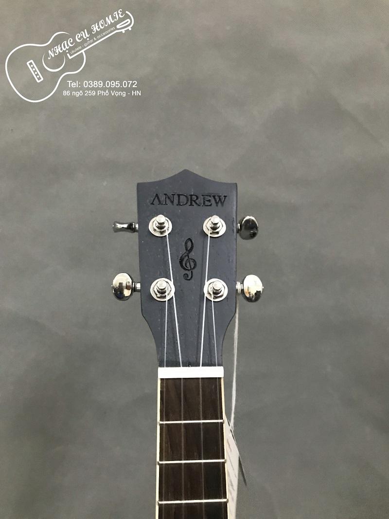 ĐÀN UKULELE CONCERT ANDREW MS09