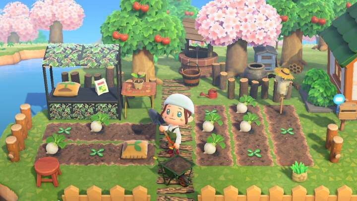 Băng chơi game Nintendo Switch: Animal Crossing New Horizons