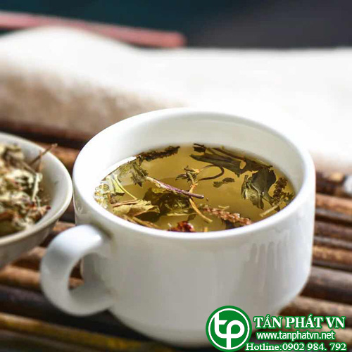 Cây mã đề khô 500g - Dược Tấn Phát