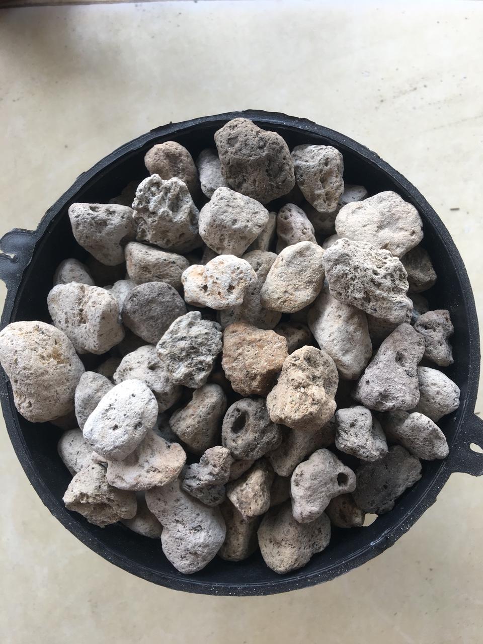 Đá Pumice (đá bọt núi lửa) size 1-2cm trồng lan thoát nước giữ ẩm tốt