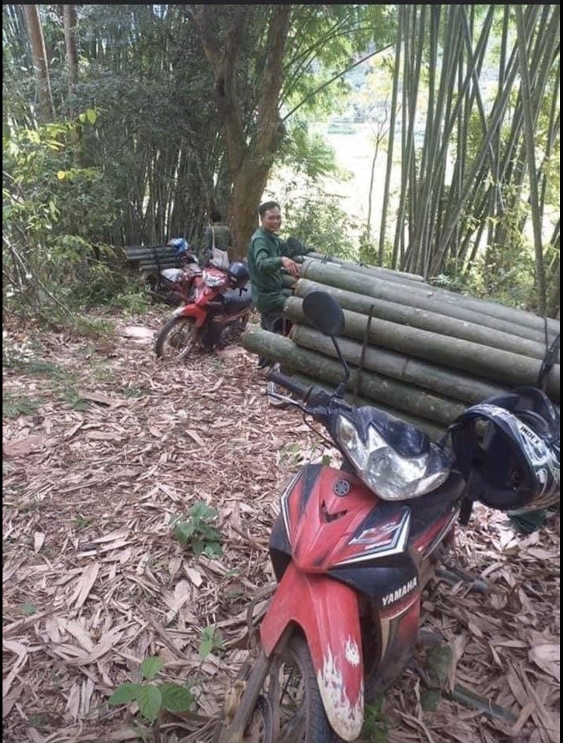 Đũa tre thủ công tây bắc 40k/chục