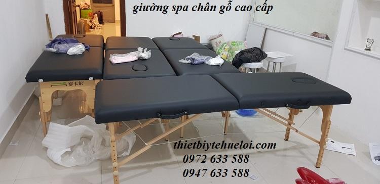 Giường spa massage trị liệu gấp gọn