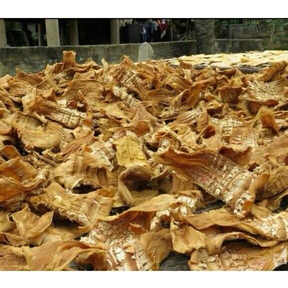 1kg măng khô